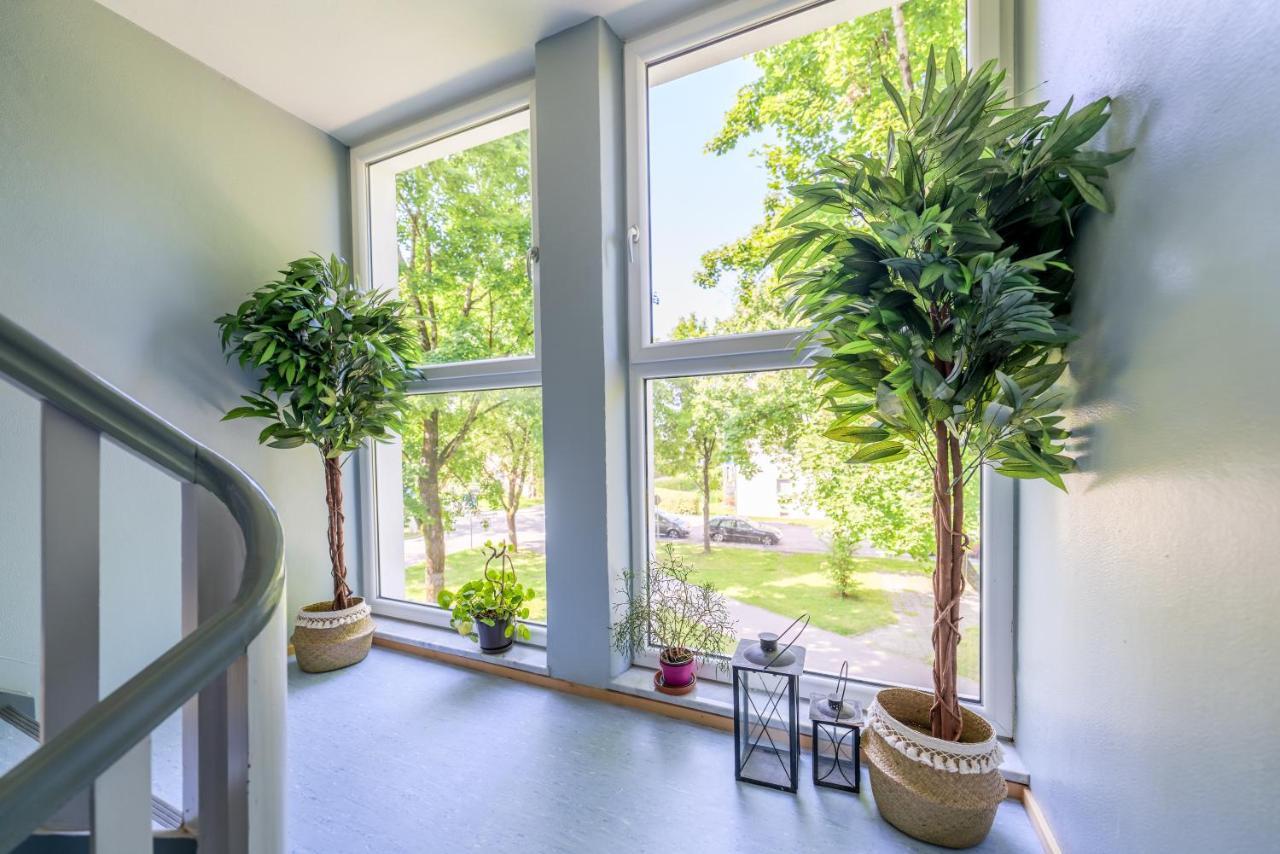 Eg Links-Wunderschoene 70M Grosse 2-Zimmer City Wohnung Naehe Salzburg Фрайлассинг Экстерьер фото
